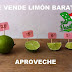 Los mejores memes sobre el precio del limón