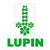 LUPIN PLUNGES OVER 7%; SHOULD YOU BUY NOW?