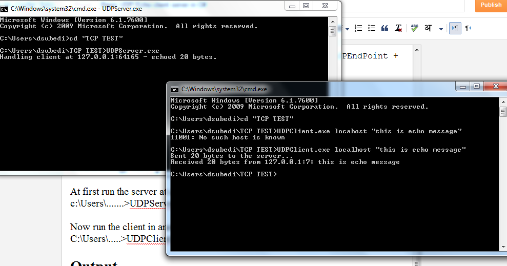 Basic UDP socket echo client server program in C# | Code ...