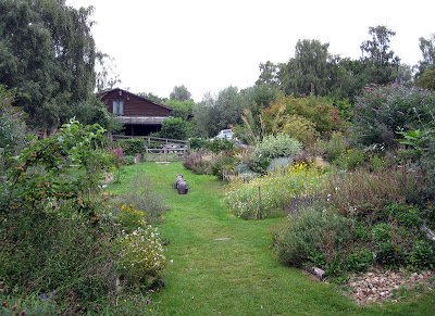 Flower garden at Sevenoaks Wildlife Reserve with the visitor centre in the background. 14 August 2011.