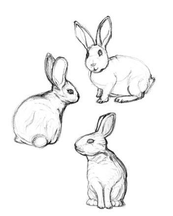Descubre Como Dibujar Conejos Facil con este Tutorial 2022