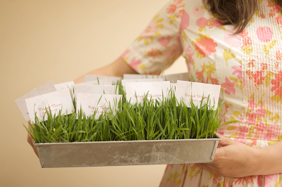 Stella   Jewelry Displays on Diy Wheat Grass Seating Card Display From Project Wedding Blog