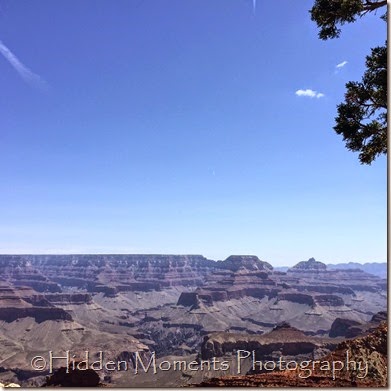 2015-05-13 10.38.43-1 2015-05-13 10.38.43-1