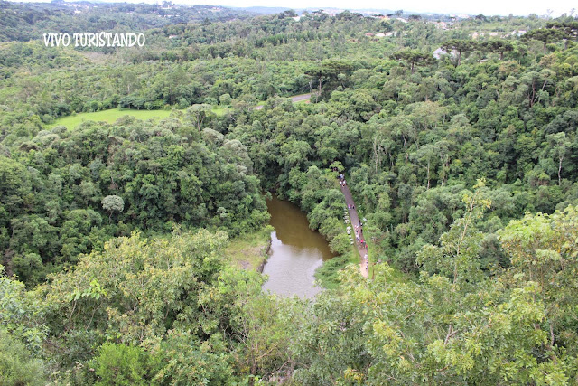 Curitiba | A natureza exuberante dos Parques Barigui, São Lourenço e Tanguá