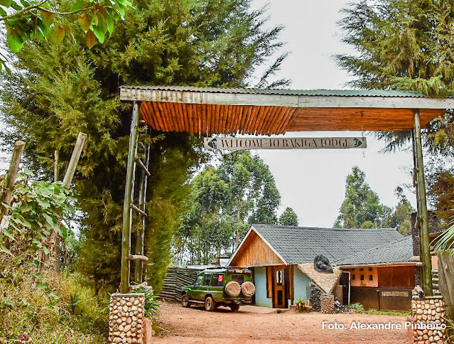 Bakiga Lodge, hospedagem no Parque Bwindi, Uganda