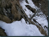 DSCN4302