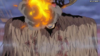 ワンピース アニメ エニエスロビー編 293話 チョッパー ランブルボール 暴走 Chopper | ONE PIECE Episode 293 Enies Lobby