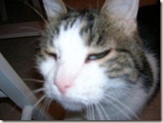 eGrumpy