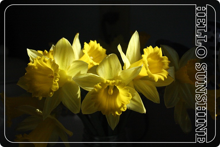 IMG_0305_resize_helloSunshine