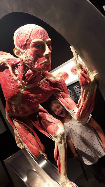 http://www.bodyworldssweden.se/om-body-worlds-halsa/