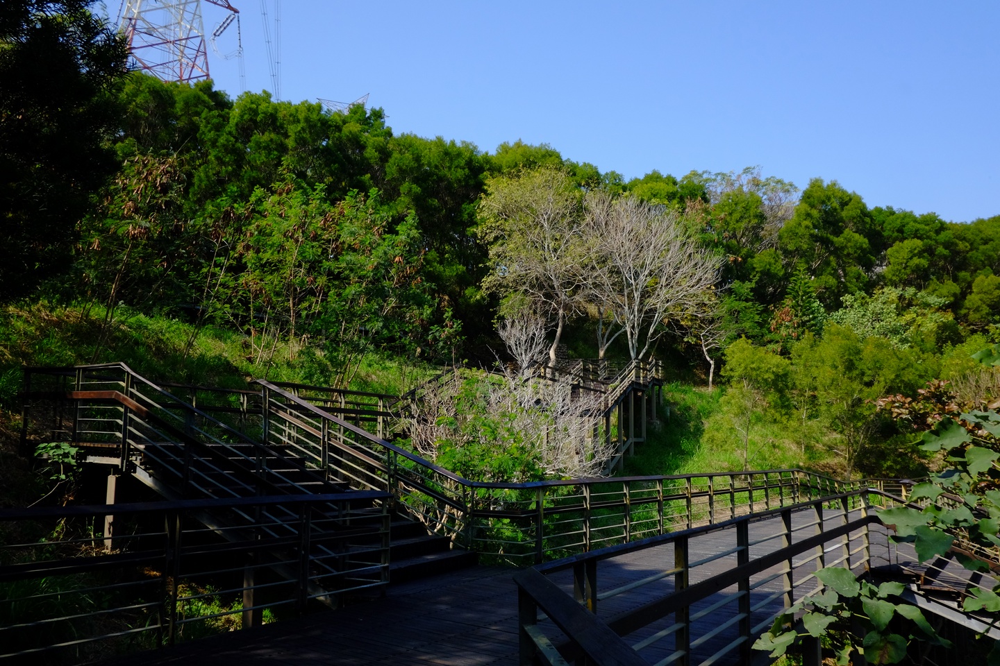 中部景點 東大公園