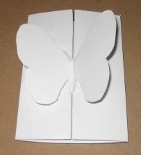 DIY Closing Butterfly Card.