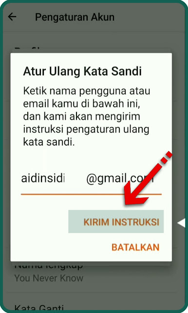 kirim email