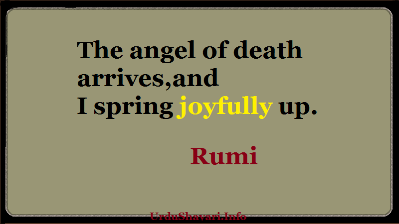 The angel of death arrives, and I spring joyfully up. rumi quotes on death