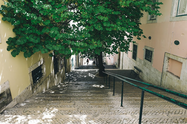 Calçada Nova de São Francisc 