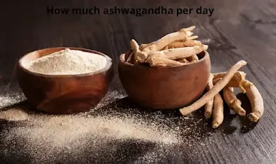 How much ashwagandha per day with Best time to take it