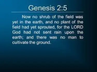 Are the two different creation accounts in Genesis 1 and 2 contradiction or they are verifiable?