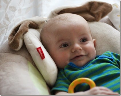 IMG_7990 IMG_7990