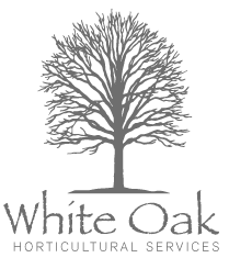 www.whiteoakhorticulturalservices.com