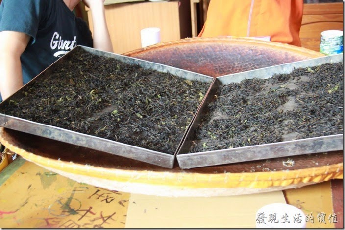 台中日月潭-和菓森林揉茶。這時候我們製作的阿薩姆紅茶也已經乾燥烘培完成了，而且已經變成了我們所熟悉的黑色。一團一團的，其實很難分得清楚那一團是誰的！反正都差不多啦！