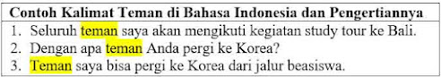 27 Contoh Kalimat Teman di Bahasa Indonesia dan Pengertiannya