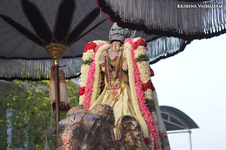 Yaanai Vahanam,Gopura Dharisanam,Vaigasi, Purappadu,Video, Divya Prabhandam,Sri Parthasarathy Perumal, Triplicane,Thiruvallikeni,Utsavam,Gajendra Varadhar,Brahmotsavam