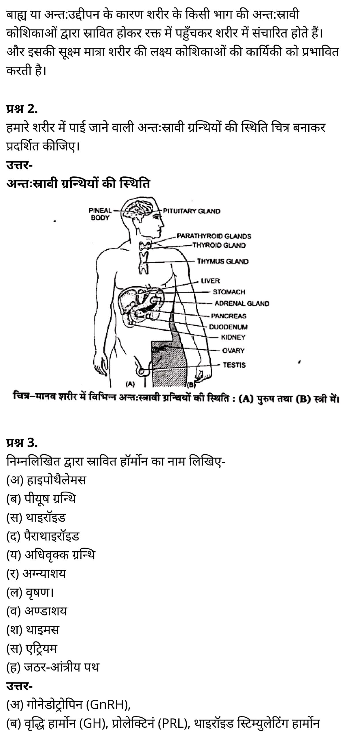 कक्षा 11 जीव विज्ञान अध्याय 22 के नोट्स हिंदी में एनसीईआरटी समाधान,   class 11 Biology Chapter 22,  class 11 Biology Chapter 22 ncert solutions in hindi,  class 11 Biology Chapter 22 notes in hindi,  class 11 Biology Chapter 22 question answer,  class 11 Biology Chapter 22 notes,  11   class Biology Chapter 22 in hindi,  class 11 Biology Chapter 22 in hindi,  class 11 Biology Chapter 22 important questions in hindi,  class 11 Biology notes in hindi,  class 11 Biology Chapter 22 test,  class 11 BiologyChapter 22 pdf,  class 11 Biology Chapter 22 notes pdf,  class 11 Biology Chapter 22 exercise solutions,  class 11 Biology Chapter 22, class 11 Biology Chapter 22 notes study rankers,  class 11 Biology Chapter 22 notes,  class 11 Biology notes,   Biology  class 11  notes pdf,  Biology class 11  notes 2021 ncert,  Biology class 11 pdf,  Biology  book,  Biology quiz class 11  ,   11  th Biology    book up board,  up board 11  th Biology notes,  कक्षा 11 जीव विज्ञान अध्याय 22, कक्षा 11 जीव विज्ञान का अध्याय 22 ncert solution in hindi, कक्षा 11 जीव विज्ञान  के अध्याय 22 के नोट्स हिंदी में, कक्षा 11 का जीव विज्ञान अध्याय 22 का प्रश्न उत्तर, कक्षा 11 जीव विज्ञान अध्याय 22 के नोट्स, 11 कक्षा जीव विज्ञान अध्याय 22 हिंदी में,कक्षा 11 जीव विज्ञान  अध्याय 22 हिंदी में, कक्षा 11 जीव विज्ञान  अध्याय 22 महत्वपूर्ण प्रश्न हिंदी में,कक्षा 11 के जीव विज्ञानके नोट्स हिंदी में,जीव विज्ञान  कक्षा 11 नोट्स pdf,