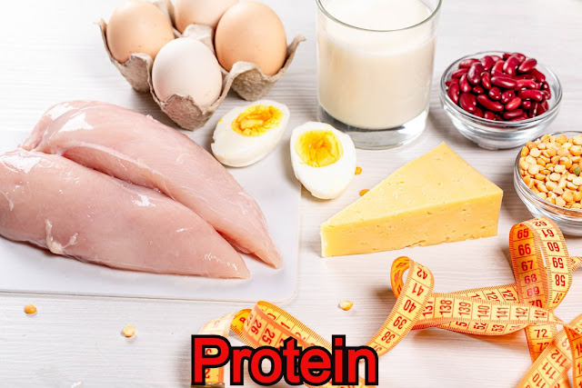 Protein,Types of Nutrients,nutrients