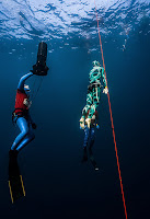 Freediving Korea Cup Jeju 2022 PJFREEDIVING