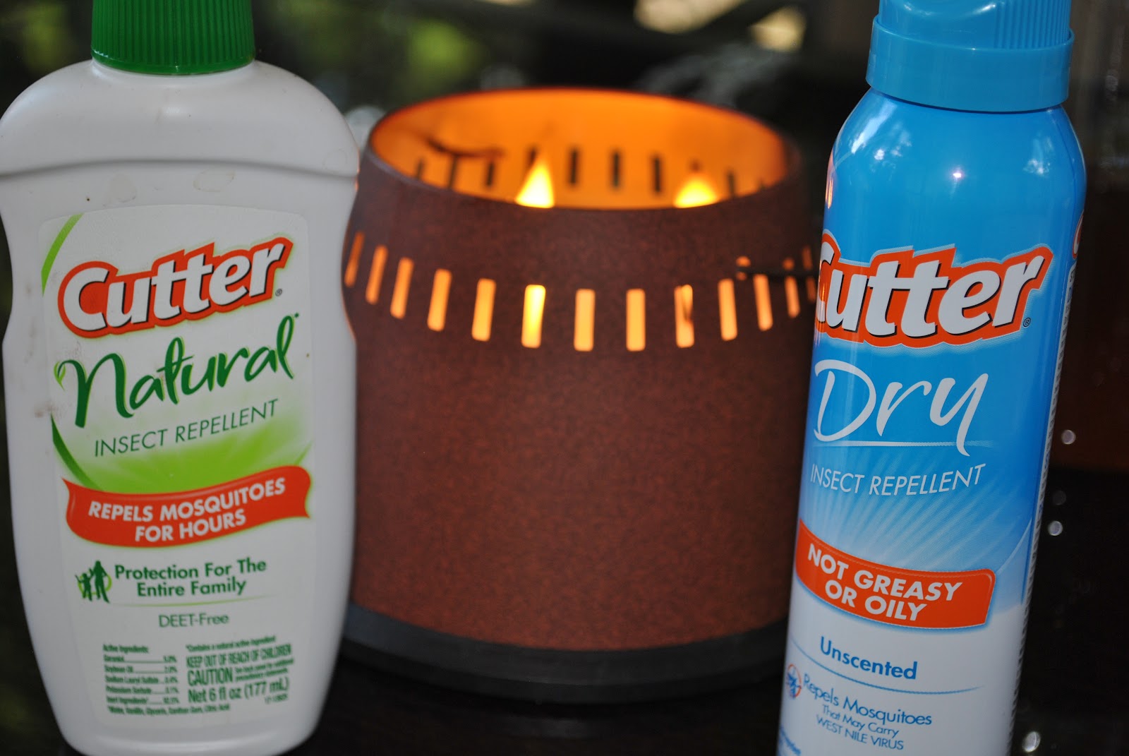 Life With 4 Boys Cut The Pests From Outdoor Fun With Cutter Products