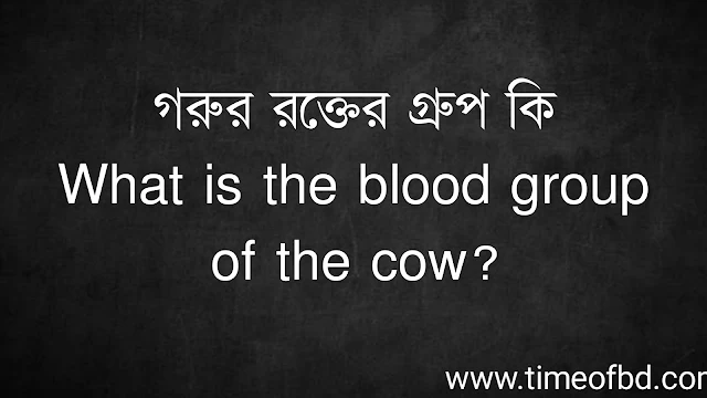 গরুর রক্তের গ্রুপ কি | What is the blood group of the cow?