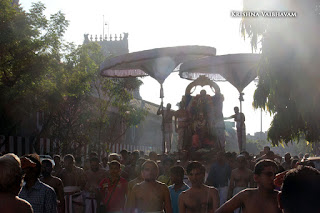 Sri Ramar ,Garuda SEvai, Garuda VAhanam, Sri Rama NAvami, Ramar Purappadu, Triplicane,  Panguni,Purappadu, Thiruvallikeni, Utsavam