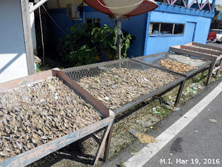 Muara Tebas Seafood at Kampung Sungai Bako Jaya Kuching, Sarawak (March 19, 2016)