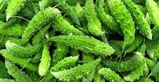   tergolong sayuran yang sering dijadikan lalapan atau bahan masakan 5 Ramuan Herbal Pare dan Manfaatnya Bagi Kesehatan