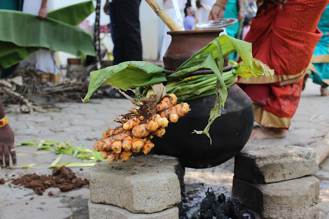 Pongal Celebration at VeeTechnologies Salem Office 2016 