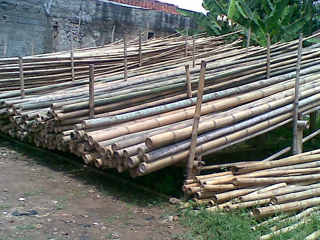 Jual Bambu