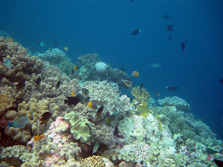 Wakatobi National Park