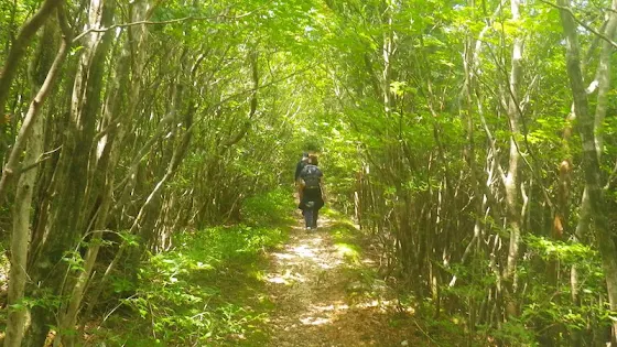 真夏の工石山でデビュー | Trekking from Kochi