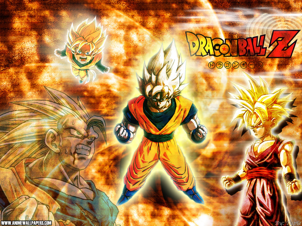 Dragon Ball Anime Wallpaper 