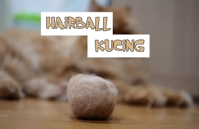 Kucing Hairball