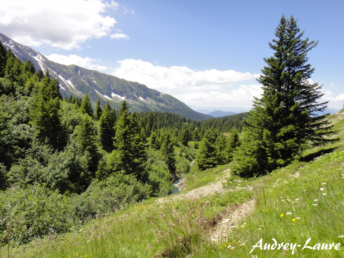 randonnées alpe du grand cerf