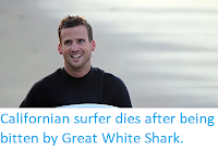 https://sciencythoughts.blogspot.com/2020/05/californian-surfer-dies-after-being.html