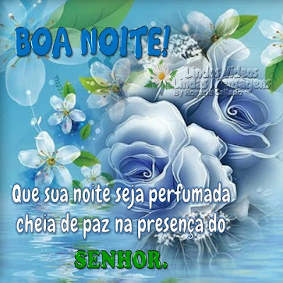 BOA NOITE! Que sua noite seja perfumada cheia de paz na presença do SENHOR.