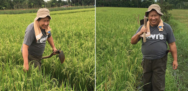 Foto-foto Jenderal Susno Duadji Bertani Sawah Jadi Viral di Medsos