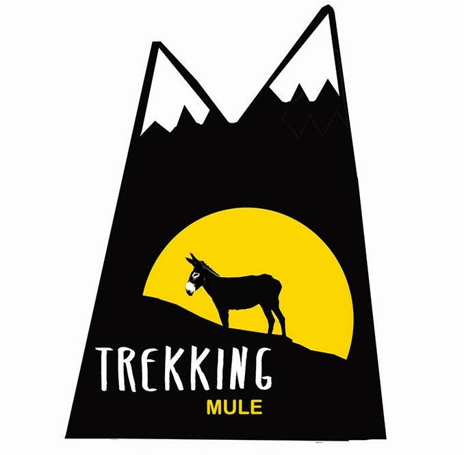 TREKKING MULE