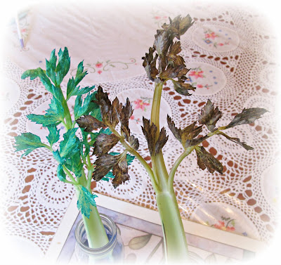 image food colouring and celery overnight soak