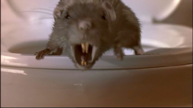 The Rats (2002)