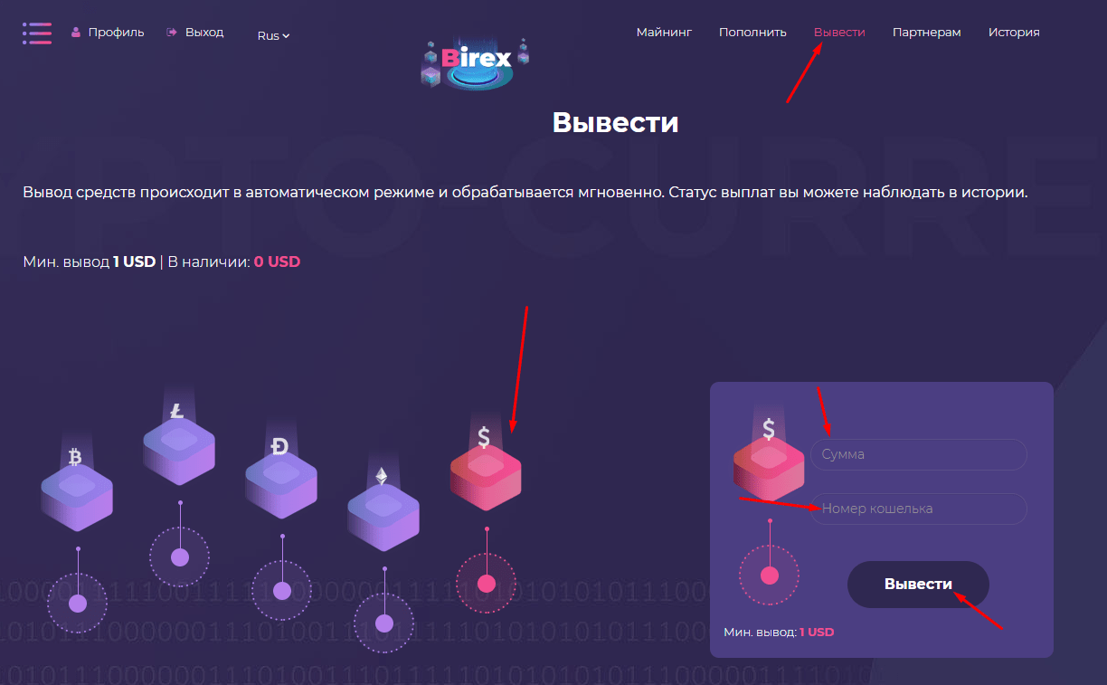 Регистрация в Birex 5