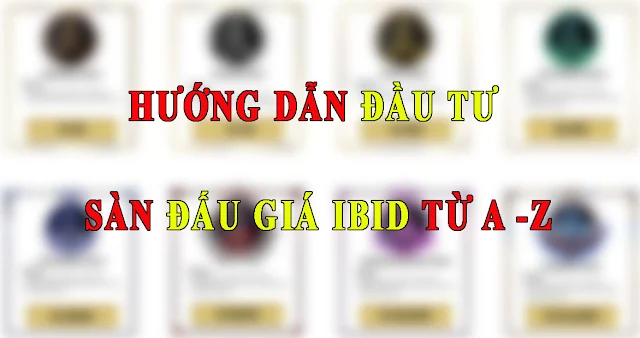 đầu tư sàn đấu giá ibid