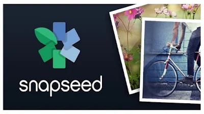 snapseed for pc windows